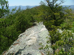 Cumberland Mountain Rock