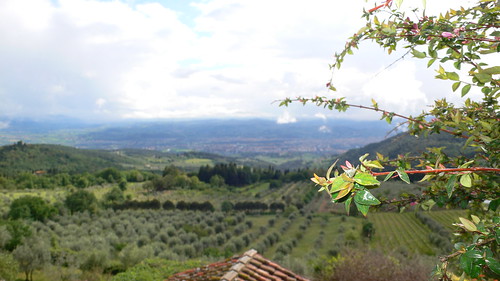 View from the Villa with a Branch