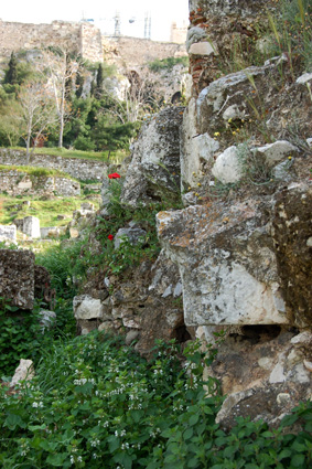 Athens Poppies and ruins
