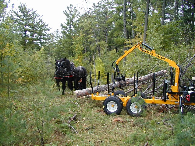 Horse logging and small-scale equipment demo, Grand Rapids MN