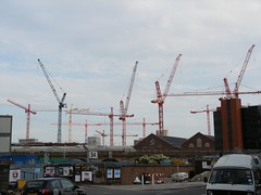 White City Cranes