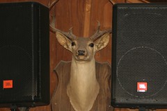 Deer speakers