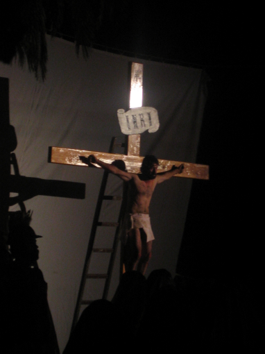 crucis21