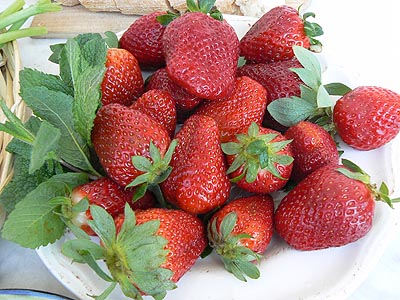 fraises.jpg
