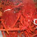 Dinner Tasmanian Crayfish Style
