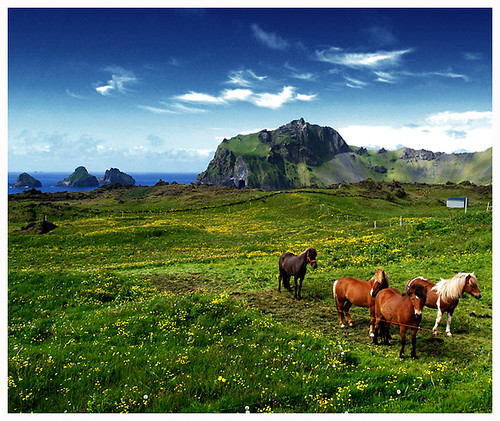 images of iceland