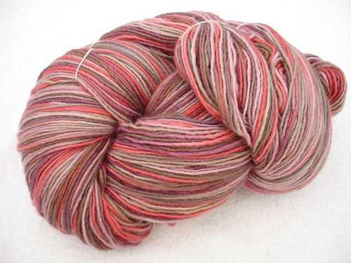 Brown Sheep Lamb's Pride worsted, hand dyed at Springwater