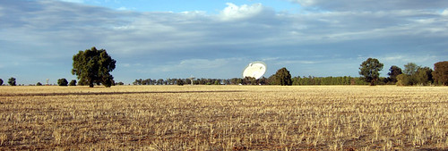 Dish in the distance