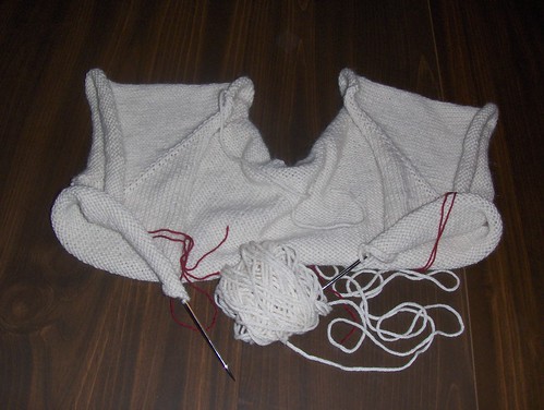Cropped Cardigan with Leaf Ties - Progress