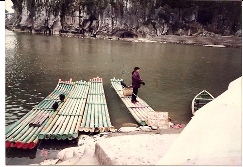 Using birds to catch fish Lijiang style