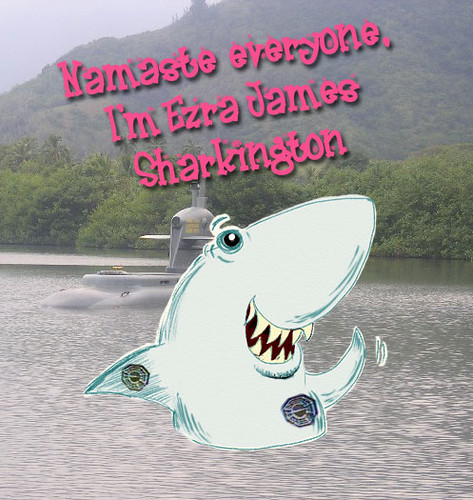 Namaste Sharkington
