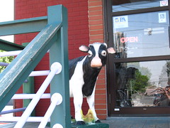 Cow Guards the Door