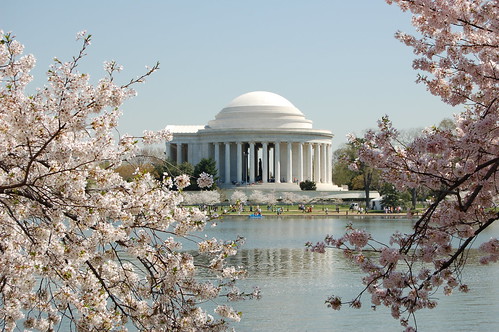 Thomas Jefferson Memorial & Cherry Blossoms