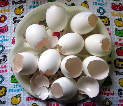 Empty Eggshells