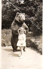 Carol and the bear