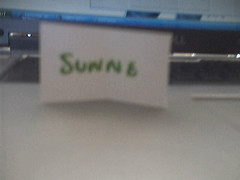 Sunne wins
