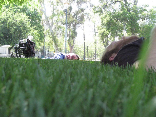 Grass, napping, wheelchair