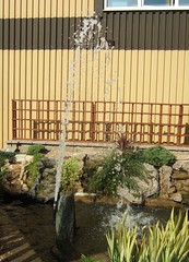 THE WATER FEATURE