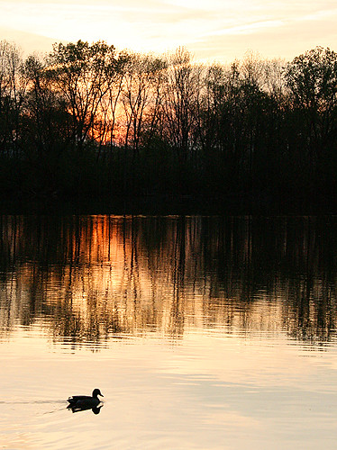Sunset at Riverside