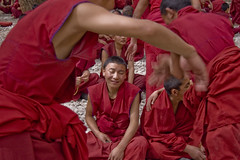 More Debating Monks