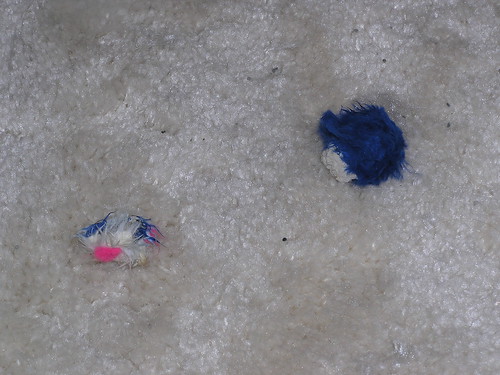 Blue Mouse - Killed 10