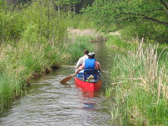 20070522 Paddlers paddling