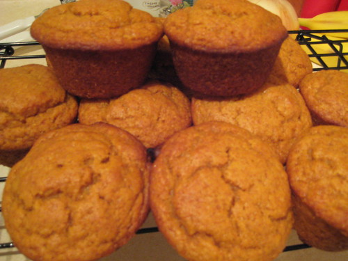 The Best Pumpkin Muffins - group shot
