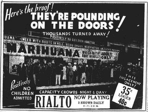 marihuana cinema
