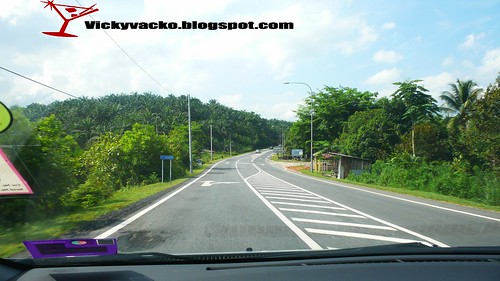 palm oil, sky, road....boring!