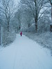 Winter in Lund