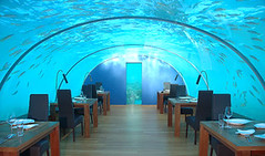underwater restaurant - by mali mish