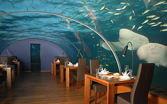 underwater restaurant - by mali mish