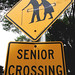 senior crossing