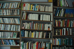 a different kind of bookshelf