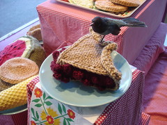 knitted picnic 01