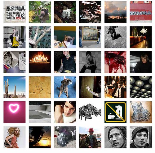 flickr faves as of 04/19