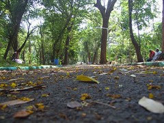 Botanical Gardens in Pondy