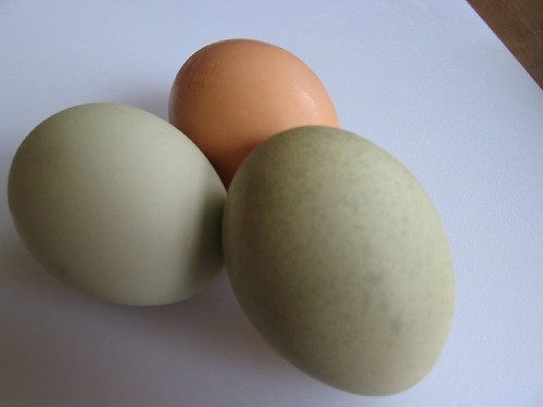 Green eggs