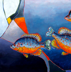 orange spotted sunfish