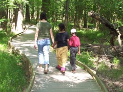 walking in congaree national park