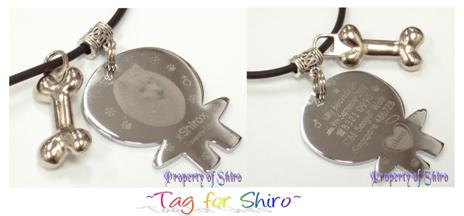Tags_-_Shiro