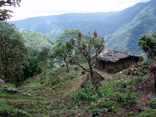 Landscape himalaya