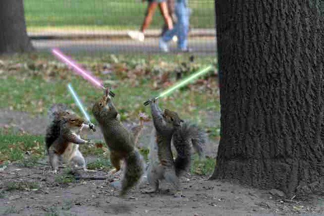 'those' jedi squirrels with lightsabers. A strange image I mashed together 