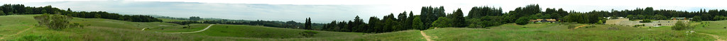 Meadow Panorama