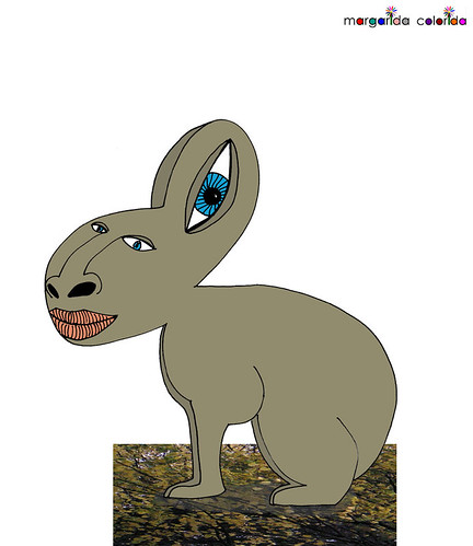coelho | rabbit