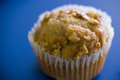 Muffin on Blue