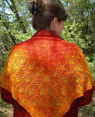 peacock with jacket2