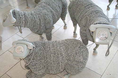 telephone sheep