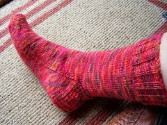 Red Delicious sock