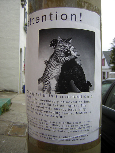 Attention! On May 1st at this intersection a small kitten needlessly attacked an innocent godzilla action-figure. 